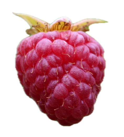 Framboise